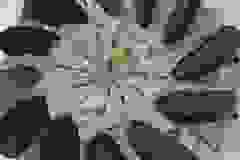 363439861_10168505674625144_5715880990337067675_n